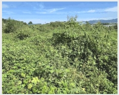  2025Ÿ��4025  �����