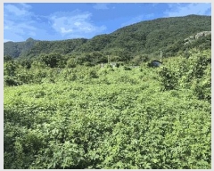  2025Ÿ��4025  �����