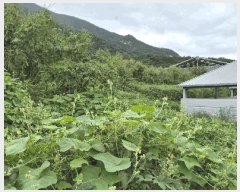  2025Ÿ��4025  �����