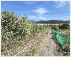  2025Ÿ��4025  �����