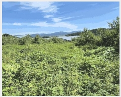  2025Ÿ��4025  �����