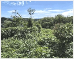  2025Ÿ��4025  �����