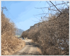  2025Ÿ71836  õ ̵  374-6      ,â