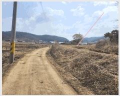  2025Ÿ��71981  �����