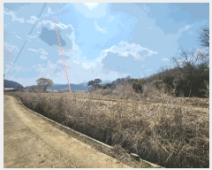  2025Ÿ��71981  �����