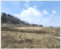  2025Ÿ��71981  �����