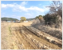  2025Ÿ��71981  �����