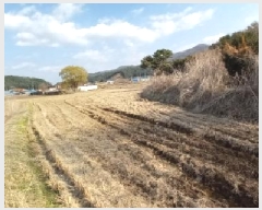  2025Ÿ��71981  �����