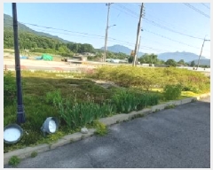  2025Ÿ��72147  ����