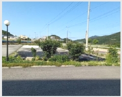  2025Ÿ��72147  ����