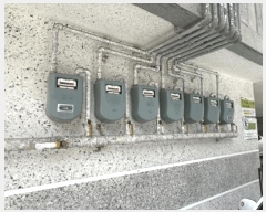  2025Ÿ��72363  �ټ���(����)���