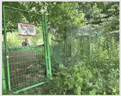  2025Ÿ72450  õ ȭ  231      ()