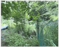  2025Ÿ72450  õ ȭ  231      ()