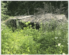  2025Ÿ72450  õ ȭ  231      ()