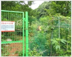  2025Ÿ72450  õ ȭ  231      ()