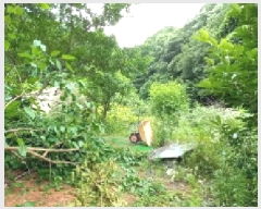  2025Ÿ72450  õ ȭ  231      ()