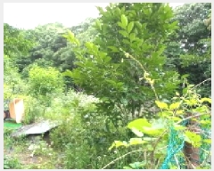  2025Ÿ72450  õ ȭ  231      ()