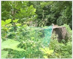  2025Ÿ72450  õ ȭ  231      ()