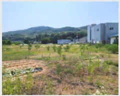  2025Ÿ��72464  ����