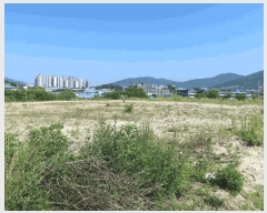  2025Ÿ��72464  ����