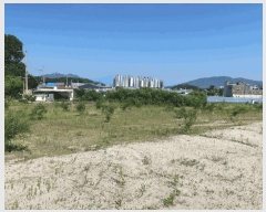  2025Ÿ��72464  ����