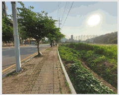  2025Ÿ��72487  �����