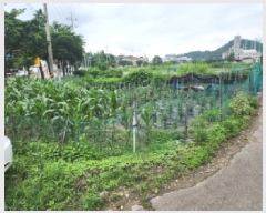  2025Ÿ��72487  �����