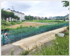  2025Ÿ��72487  �����