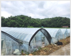  2025Ÿ��72570  ����