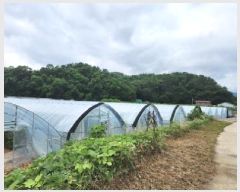  2025Ÿ��72570  ����