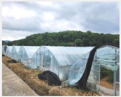  2025Ÿ��72570  ����