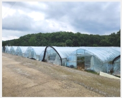  2025Ÿ��72570  ����