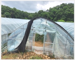  2025Ÿ��72570  ����