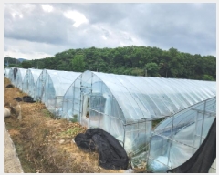  2025Ÿ��72570  ����