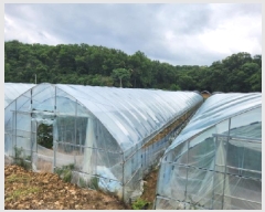  2025Ÿ��72570  ����