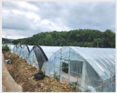  2025Ÿ��72570  ����