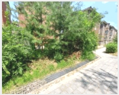  2025Ÿ��72623  �������