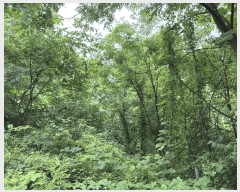  2025Ÿ��72652 ���� ö���� ���� �ڵ ��194      ����(�Ӿ�)���