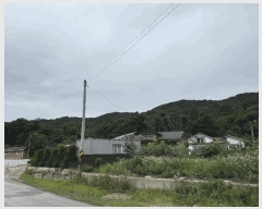  2025Ÿ��72652 ���� ö���� ���� �ڵ ��194      ����(�Ӿ�)���