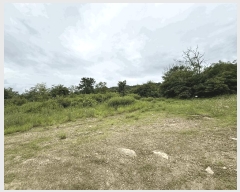  2025Ÿ��72652 ���� ö���� ���� �ڵ ��194      ����(�Ӿ�)���