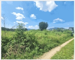  2025Ÿ��72689 ��� ��õ�� ���߸� �繮�� 733      ����(��1)���