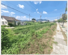  2025Ÿ��72689 ��� ��õ�� ���߸� �繮�� 733      ����(��1)���