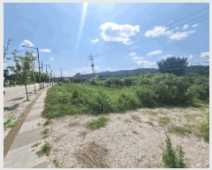  2025Ÿ��72689 ��� ��õ�� ���߸� �繮�� 733      ����(��1)���