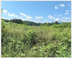  2025Ÿ��72689 ��� ��õ�� ���߸� �繮�� 733      ����(��1)���