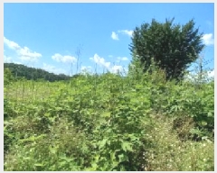  2025Ÿ��72689 ��� ��õ�� ���߸� �繮�� 733      ����(��1)���