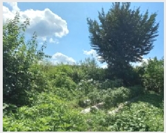  2025Ÿ��72689 ��� ��õ�� ���߸� �繮�� 733      ����(��1)���