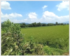  2025Ÿ72709  ö  ︮ 1200      ()