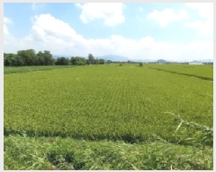  2025Ÿ72709  ö  ︮ 1200      ()