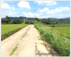  2025Ÿ72709  ö  ︮ 1200      ()