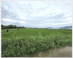  2025Ÿ72709  ö  ︮ 1200      ()